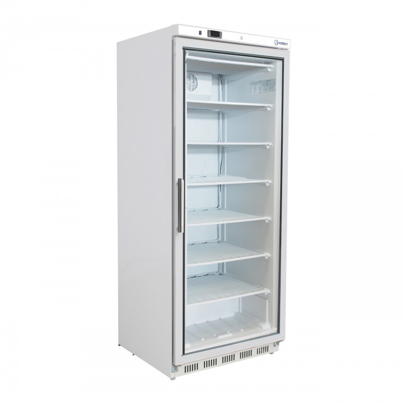Armario expositor congelados 600 litros con puerta de cristal