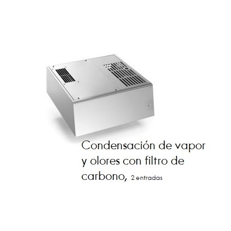 Condensación (2 entradas) de vapor y olores con filtro de carbono.