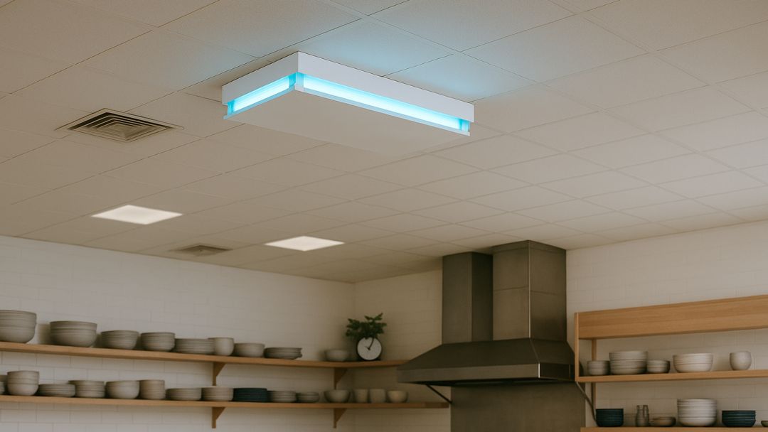 Dónde colocar un insectocaptor para que funcione correctamente